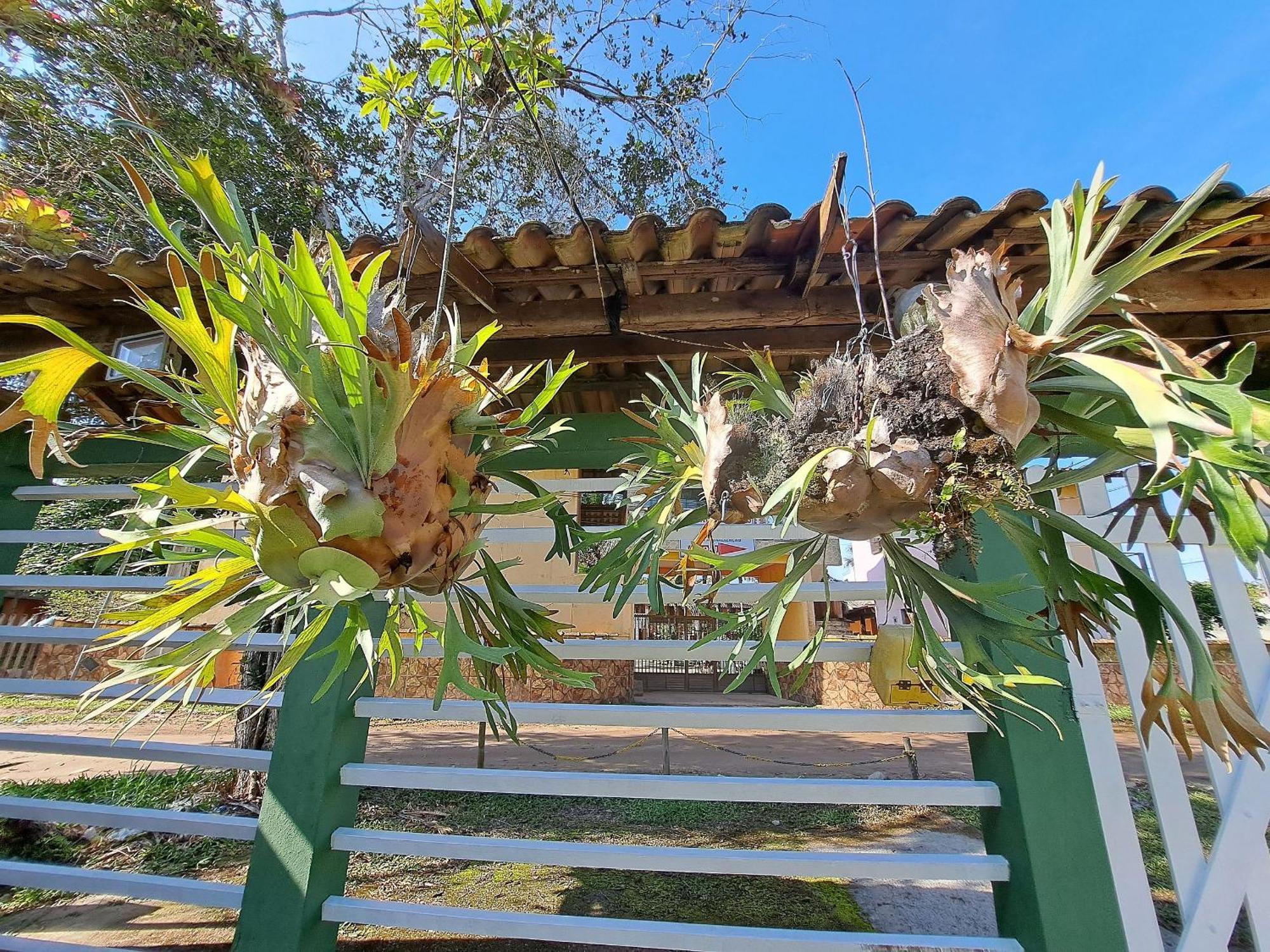 Linda Casa 4 Qts Churrasqueira Prainha Mambucaba Παρατί Εξωτερικό φωτογραφία